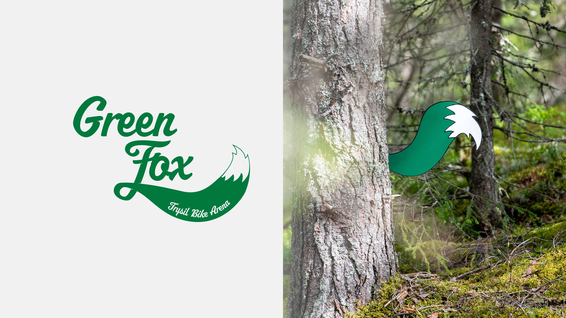 Green Fox logo